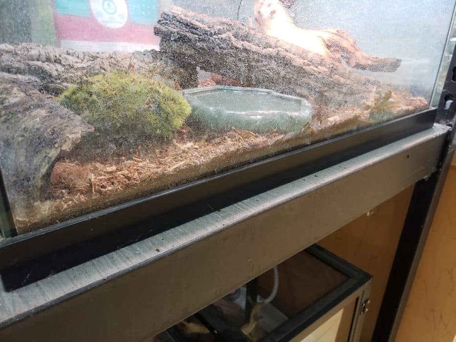 08640GALSCRN Screen Tank Top for 40 Gallon Tanks Zoo Med Laboratories, Inc.