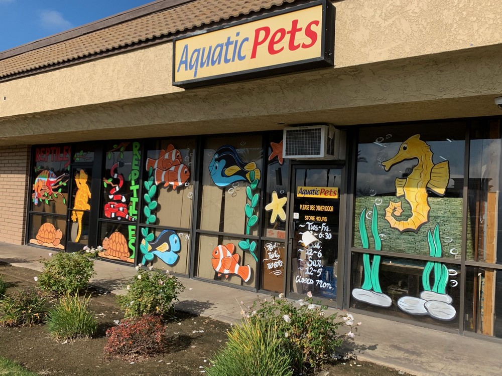 reptiles pet shop in fresno