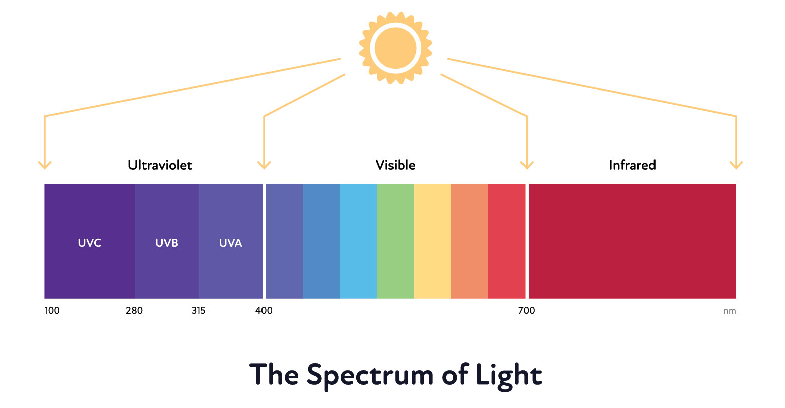 What is UV? — Science Learning Hub