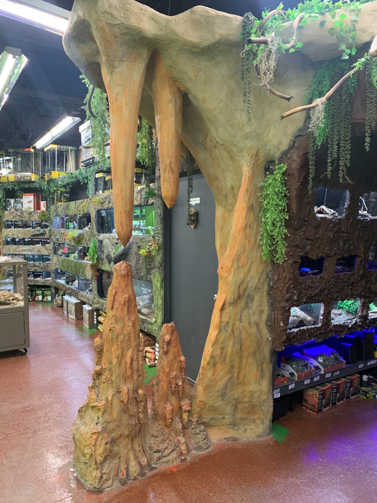 Store of the Month May 2022 Zoo Med Laboratories, Inc.