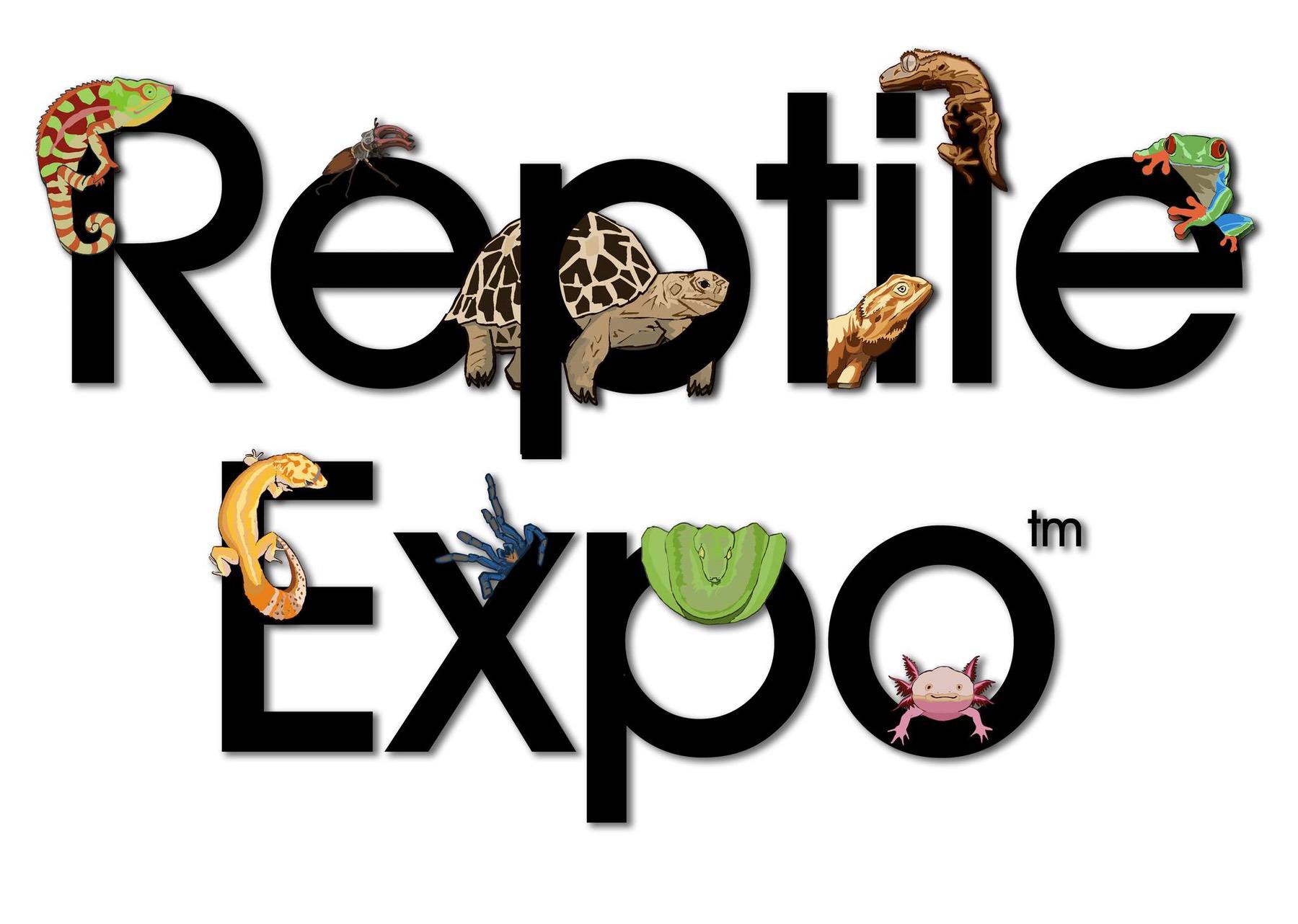 Reptile Expo Melbourne 2024 Harli Elenore